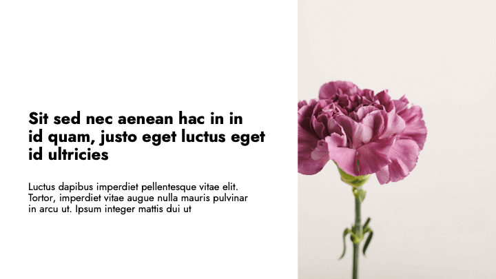 Simple White Color Minimal slide 2